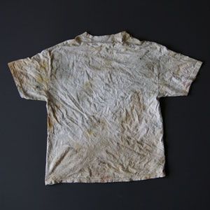garment image