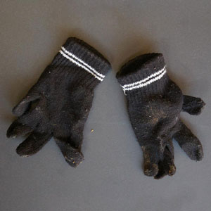 garment image